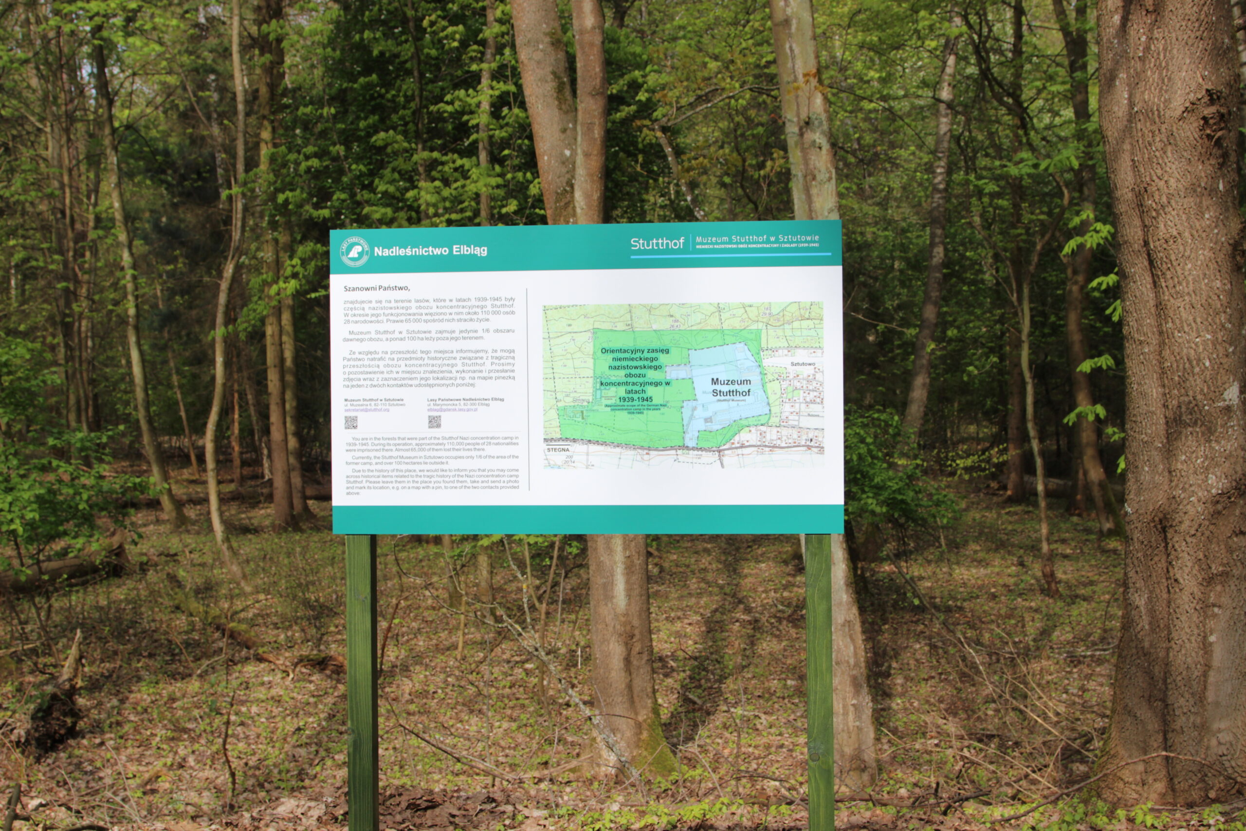Tablica informacyjna z zaznaczonym dawnym terenem obozu i naniesioną na nią mapą muzeum Stutthof.